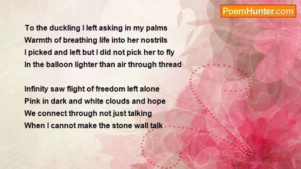 Sadiqullah Khan - The I