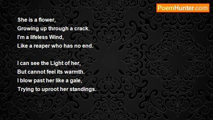 Michael Koelliker - Flower and the Wind