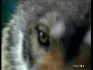 Pub -Valvert (l'eau à l'état sauvage)