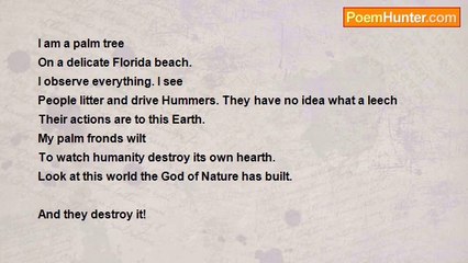 John Parsons - Floridian Sonnet