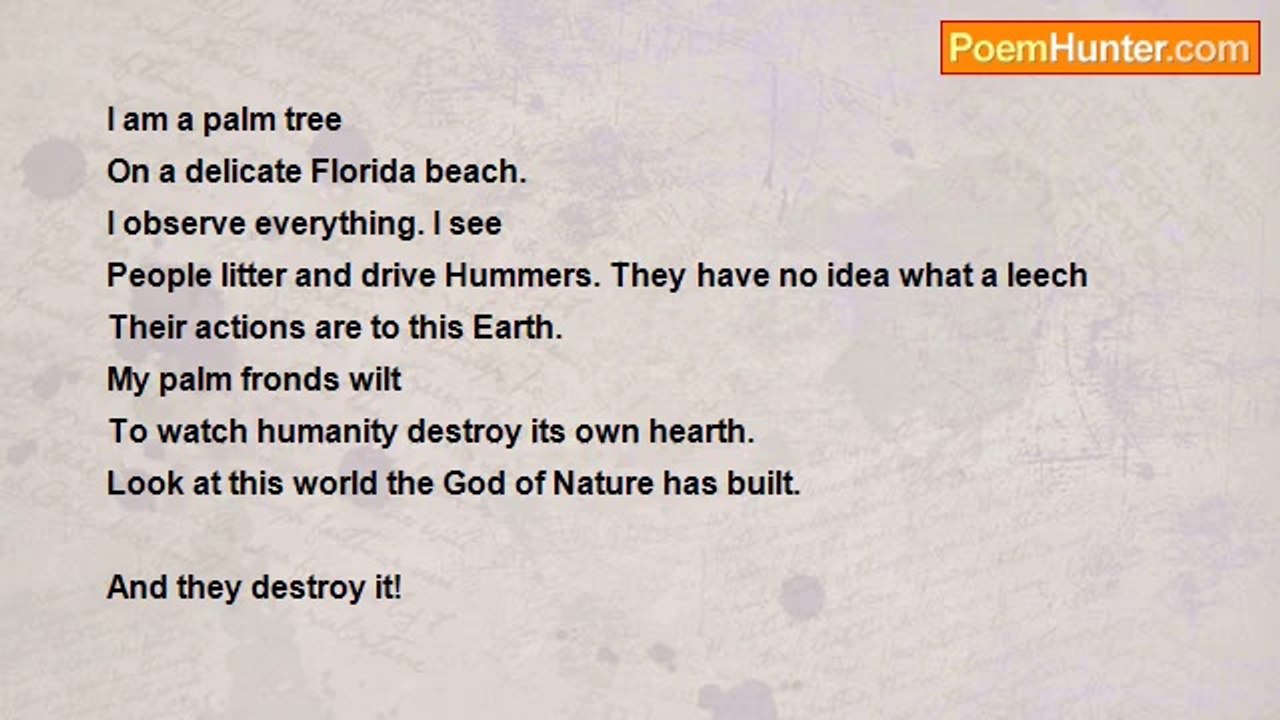 John Parsons - Floridian Sonnet