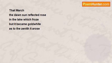 O Anna Niemus - Rose