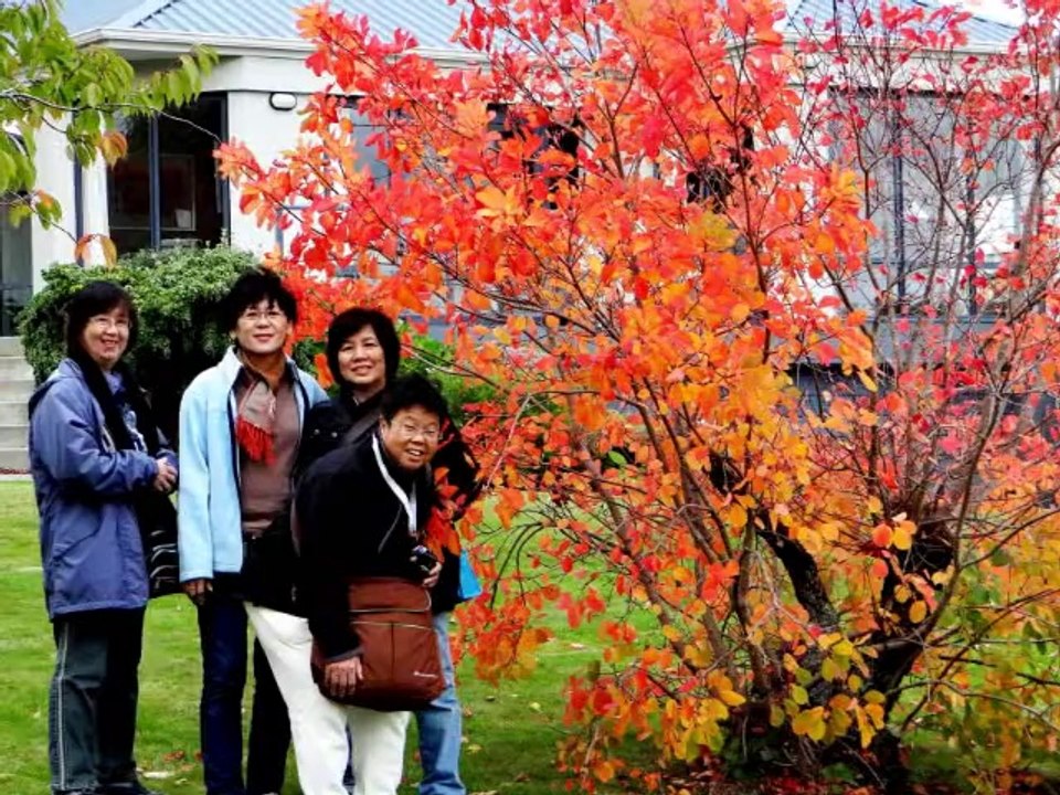 April 15 - 29, 2014 - So Happy Together