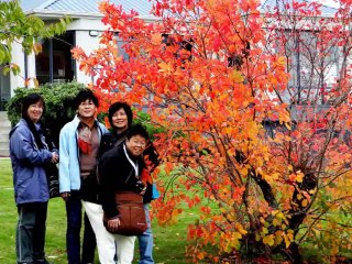 April 15 - 29, 2014 - So Happy Together