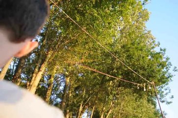 NEIL YOUNG A LA MAISON BLEUE - TOULOUSE