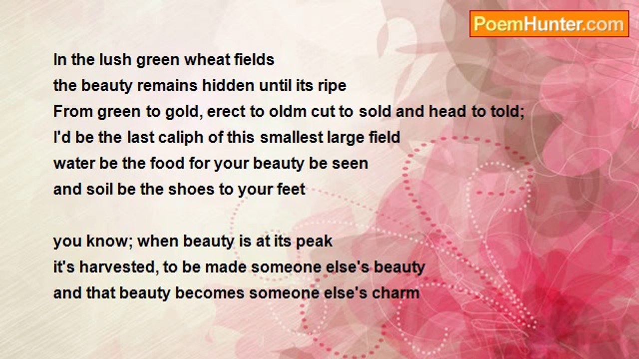 Usman Hanif - Pity for a crop...