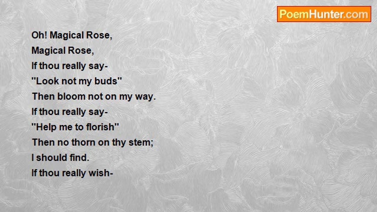 Herojit Philem - Magical Rose