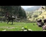 Uzbak Traning in Pakistan Video (UrduPoint.com)