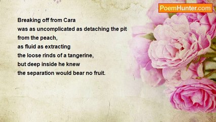 Sonny Rainshine - Unsaid Words before the Word Goodbye