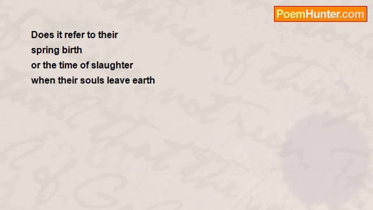 Saiom Shriver - Lambing Time
