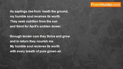 Dawn Slanker - Worth (a quatern)