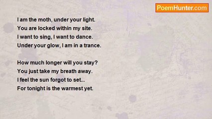 Tia Maria - Tangerine Moon