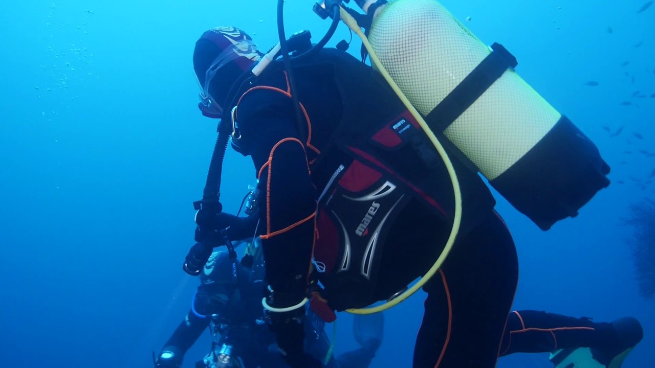 Sortie club 2014 au Lavandou - Les épaves