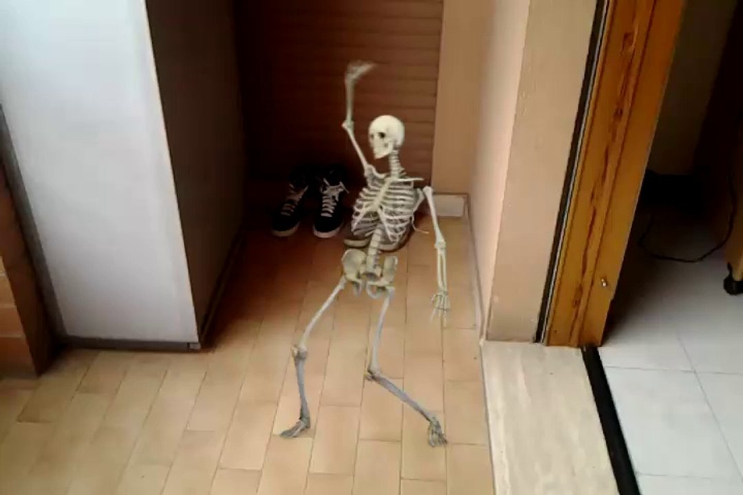 la danza dello scheletro