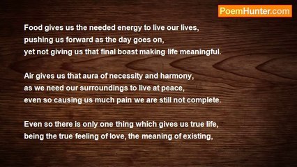 Javier Falcon - Hybrid Flower