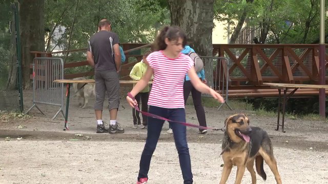Hautes-Alpes : la balade des chiens heureux au Parc de la pépinière à Gap