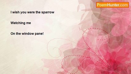 Framarz Bagheri - A sudden wish