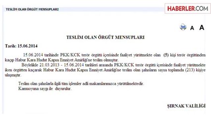 Şırnak'ta 5 PKK'lı Teslim Oldu