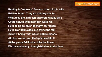 Fay Slimm - Speaking of Stillness.