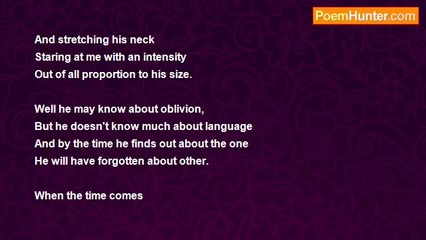 Allan Thorne - A Very Important Message I Could Not Understand