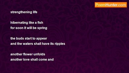 Suki Nakamura - watching the petals fall one by one