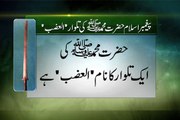 Dunya News - Zarb-e-Azb named after Prophet Mohammed's (pbuh) sword