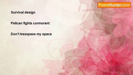 Lorraine Margueritte Gasrel Black - Bird War Haiku