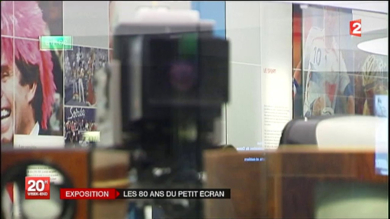 LES 80 ANS DU PETIT ECRAN(France 2 le 14 juin 2014)