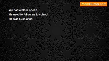 Asif Andalib - The Black Sheep