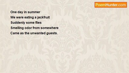 Asif Andalib - The jackfruit and the flies