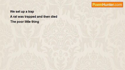 Asif Andalib - The Rat