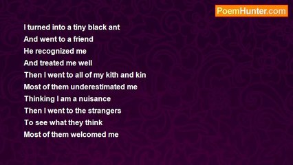 Asif Andalib - Underestimation