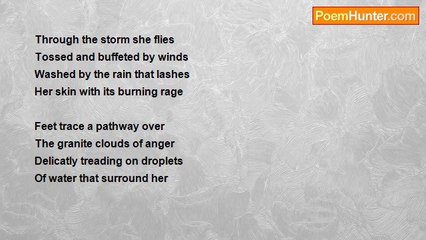 Fiona Davidson - Natures Fury