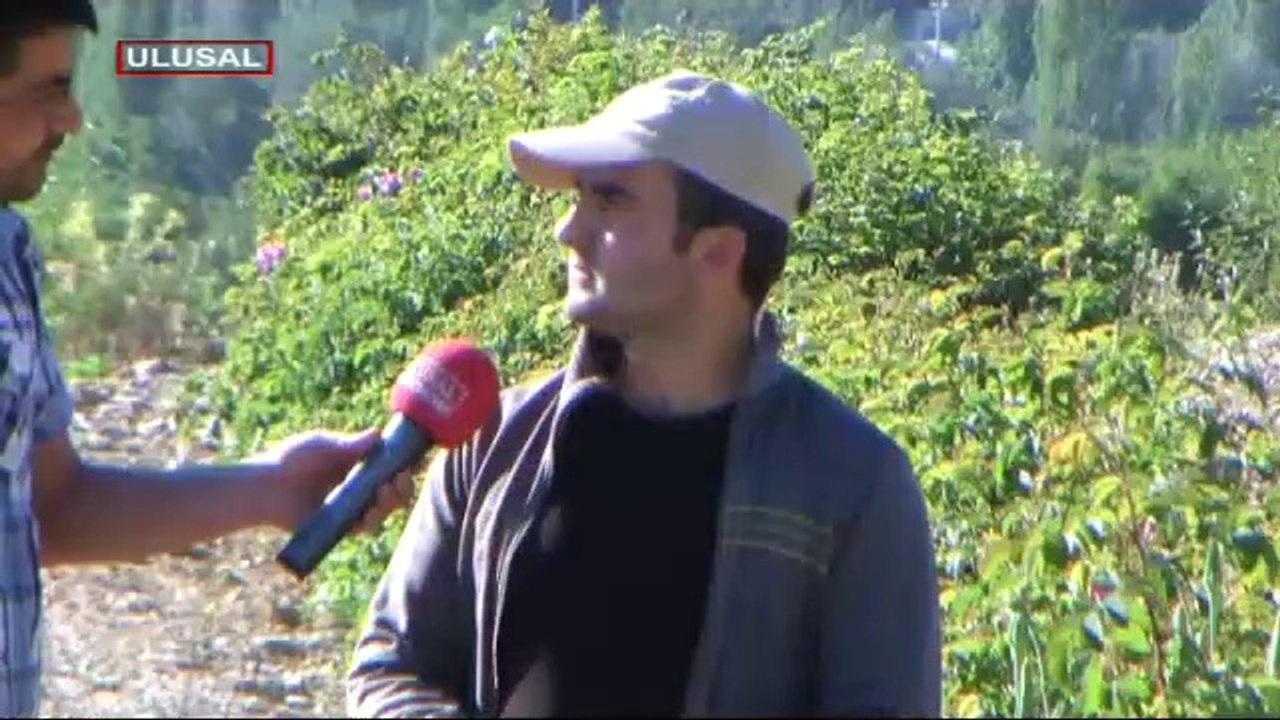 Gülde sezon sonu