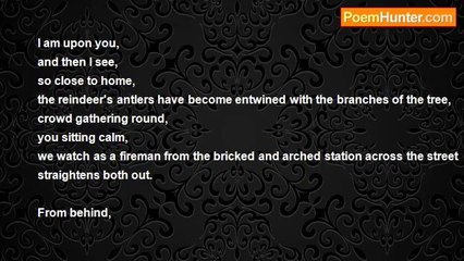 Rashida Mack - Lost Innocence