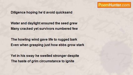 John Weber - Aimless Float