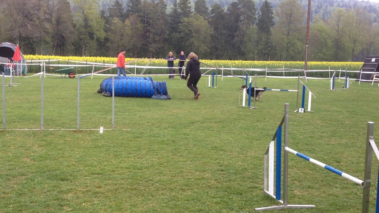 Flicka jumping Boudevilliers