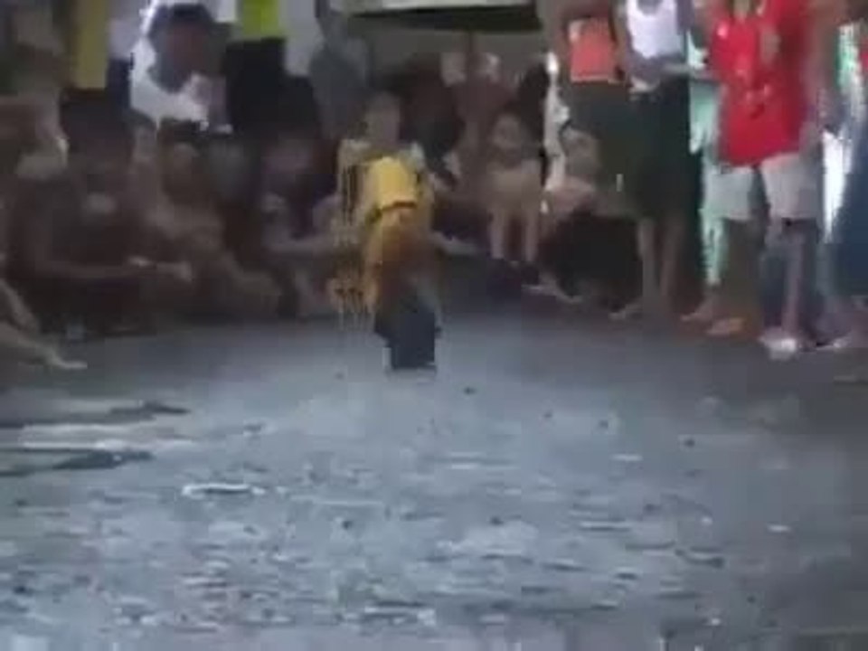 monkey raceer