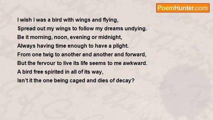 Satyapriya Gupta - I wish...