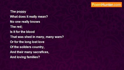 Heather Stephens - The poppy