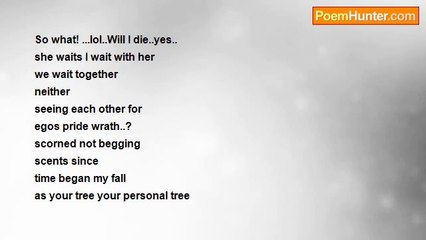 Is It Poetry - if she won't forgive