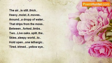 Is It Poetry - sun rise