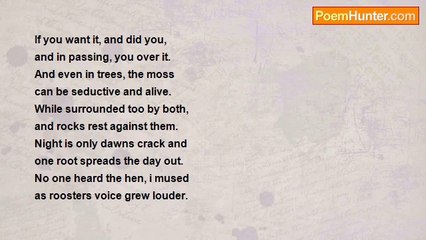 Is It Poetry - If You Wish