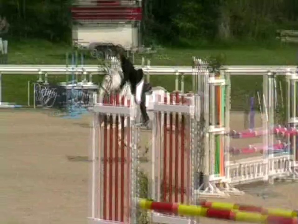 lion d'A avril 2014 Ucalina Candy