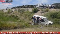 Tosya'da Otomobil Çeltik Tarlasına Uçtu