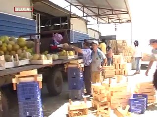 Üreticinin yüzü gülmedi!