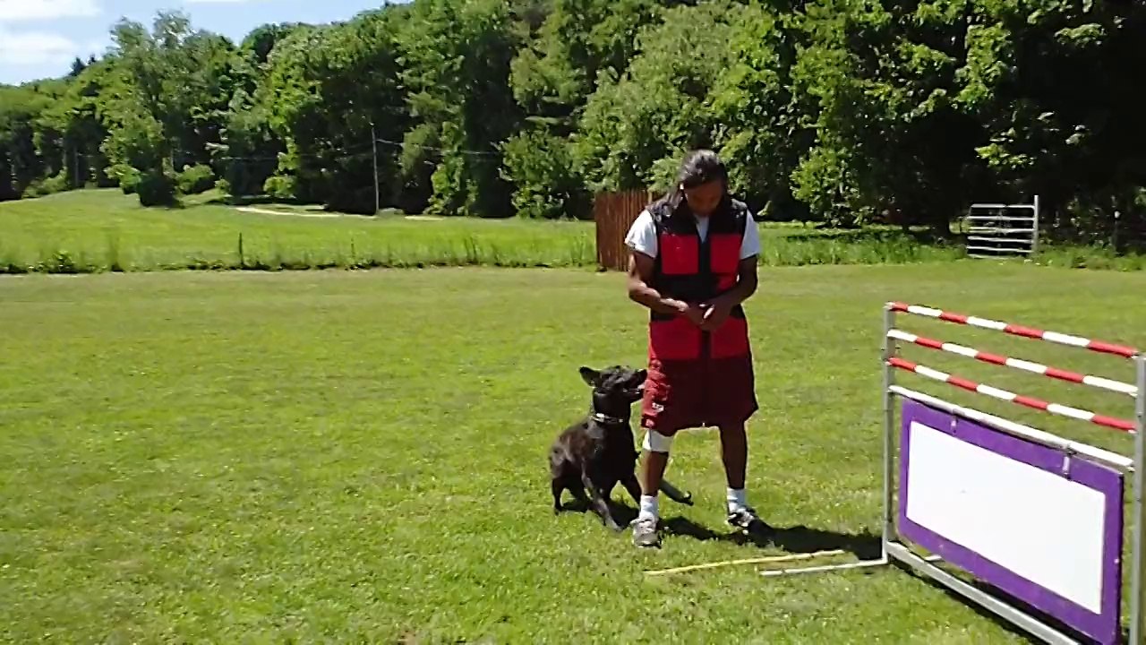 maverick8