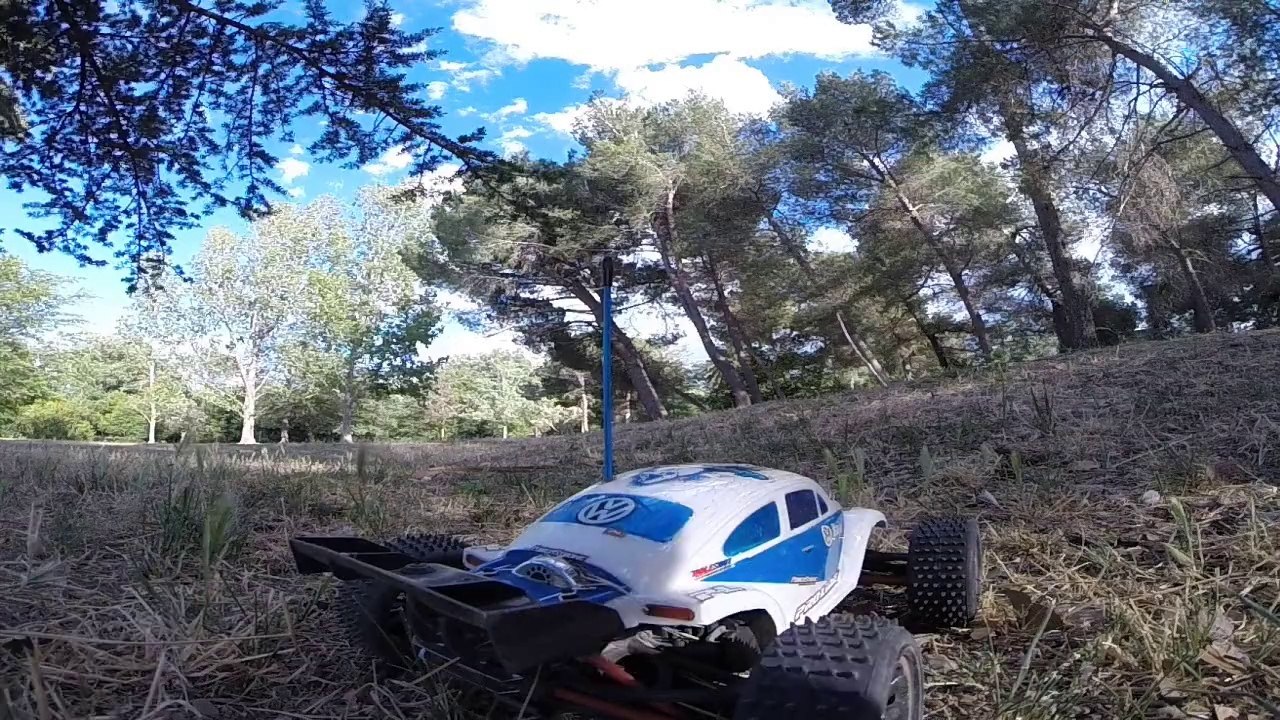 cox2