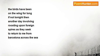 Liam ó Comáin - THE BARCELONA MARATHON