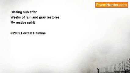 Forrest Hainline - Winter Sun – San Francisco